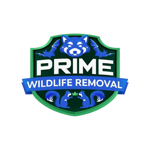 Animal Removal West Union